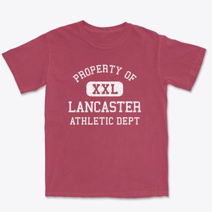 Lancaster Virginia Athletic Dept Premium Heavyweight T-shirt