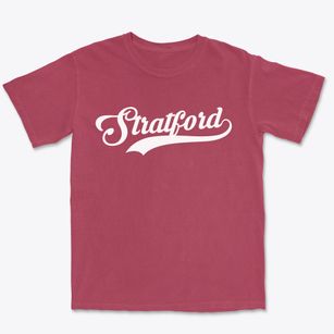 Stratford New Jersey Vintage Team Premium Heavyweight T-shirt