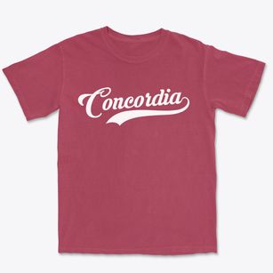 Concordia New Jersey Vintage Team Premium Heavyweight T-shirt