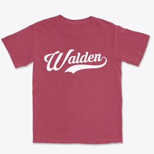 Walden Tennessee Vintage Team Premium Heavyweight T-shirt