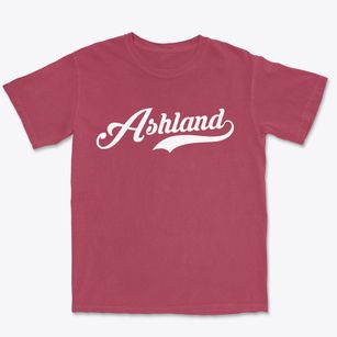 Ashland New York Vintage Team Premium Heavyweight T-shirt