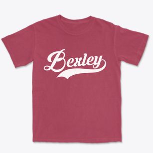 Bexley Ohio Vintage Team Premium Heavyweight T-shirt