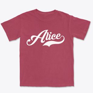 Alice North Dakota Vintage Team Premium Heavyweight T-shirt
