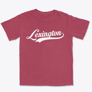 Lexington Tennessee Vintage Team Premium Heavyweight T-shirt