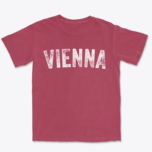 Vienna Virginia Timeless Retro Premium Heavyweight T-shirt