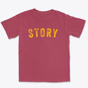 Story Wyoming Timeless Retro Premium Heavyweight T-shirt