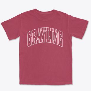 Grayling Michigan Trendy Block Premium Heavyweight T-shirt