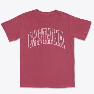 Castalia Ohio Trendy Block Premium Heavyweight T-shirt