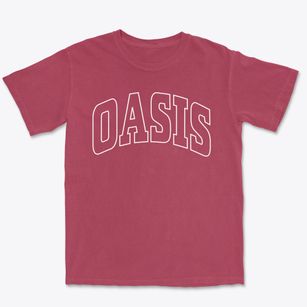Oasis Wisconsin Trendy Block Premium Heavyweight T-shirt