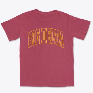 Big Delta Alaska Trendy Block Premium Heavyweight T-shirt