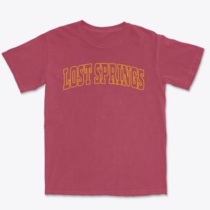 Lost Springs Wyoming Trendy Block Premium Heavyweight T-shirt