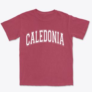 Caledonia New York Varsity Premium Heavyweight T-shirt