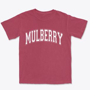 Mulberry North Carolina Varsity Premium Heavyweight T-shirt