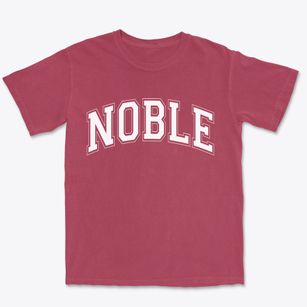 Noble Illinois Varsity Premium Heavyweight T-shirt