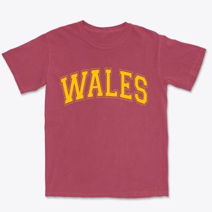 Wales New York Varsity Premium Heavyweight T-shirt