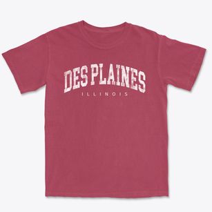 Des Plaines Illinois Urban Vibe Premium Heavyweight T-shirt