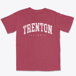 Trenton Illinois Urban Vibe Premium Heavyweight T-shirt