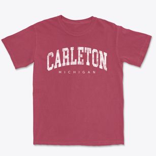 Carleton Michigan Urban Vibe Premium Heavyweight T-shirt