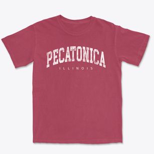 Pecatonica Illinois Urban Vibe Premium Heavyweight T-shirt