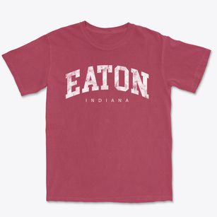 Eaton Indiana Urban Vibe Premium Heavyweight T-shirt