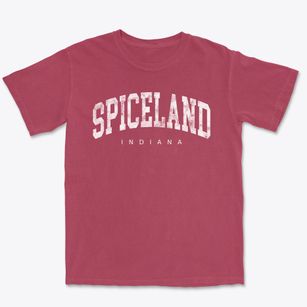 Spiceland Indiana Urban Vibe Premium Heavyweight T-shirt