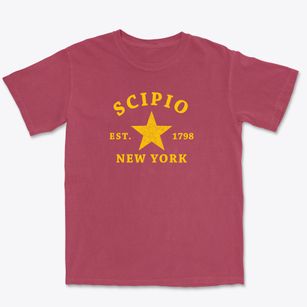 Scipio New York Star Premium Heavyweight T-shirt
