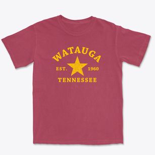 Watauga Tennessee Star Premium Heavyweight T-shirt