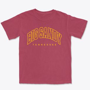 Big Sandy Tennessee Inline Premium Heavyweight T-shirt