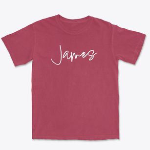 James Nebraska Freestyle Premium Heavyweight T-shirt