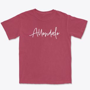 Allendale Illinois Freestyle Premium Heavyweight T-shirt