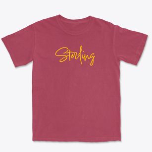 Sterling Illinois Freestyle Premium Heavyweight T-shirt