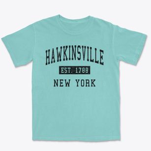 Hawkinsville New York Classic Established Premium Heavyweight T-shirt
