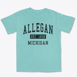 Allegan Michigan Classic Established Premium Heavyweight T-shirt
