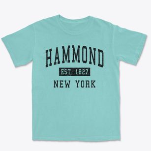Hammond New York Classic Established Premium Heavyweight T-shirt