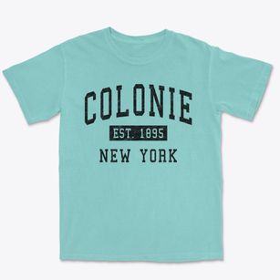 Colonie New York Classic Established Premium Heavyweight T-shirt
