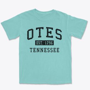 Otes Tennessee Classic Established Premium Heavyweight T-shirt