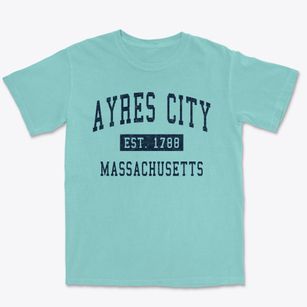 Ayres City Massachusetts Classic Established Premium Heavyweight T-shirt