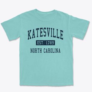 Katesville North Carolina Classic Established Premium Heavyweight T-shirt