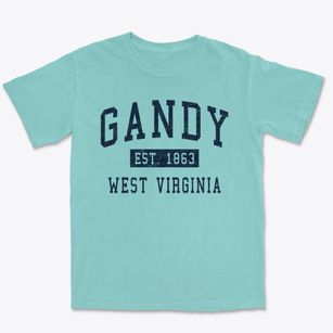 Gandy West Virginia Classic Established Premium Heavyweight T-shirt