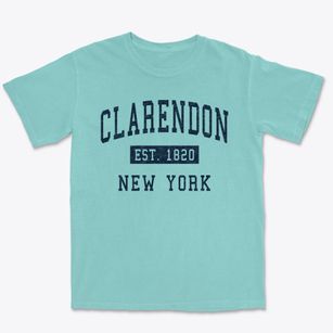 Clarendon New York Classic Established Premium Heavyweight T-shirt