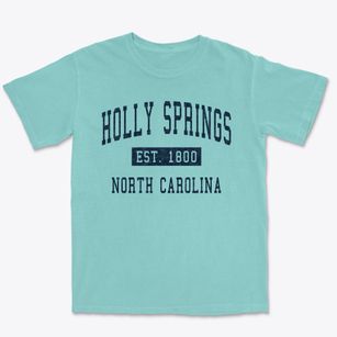 Holly Springs North Carolina Classic Established Premium Heavyweight T-shirt
