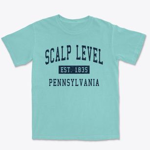 Scalp Level Pennsylvania Classic Established Premium Heavyweight T-shirt