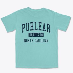 Purlear North Carolina Classic Established Premium Heavyweight T-shirt
