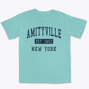 Amityville New York Classic Established Premium Heavyweight T-shirt