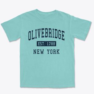 Olivebridge New York Classic Established Premium Heavyweight T-shirt