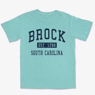 Brock South Carolina Classic Established Premium Heavyweight T-shirt