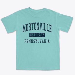 Mortonville Pennsylvania Classic Established Premium Heavyweight T-shirt