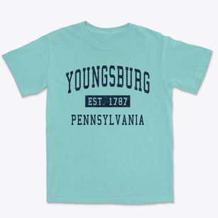Youngsburg Pennsylvania Classic Established Premium Heavyweight T-shirt