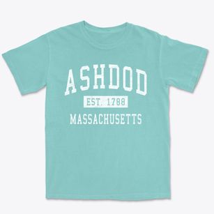 Ashdod Massachusetts Classic Established Premium Heavyweight T-shirt