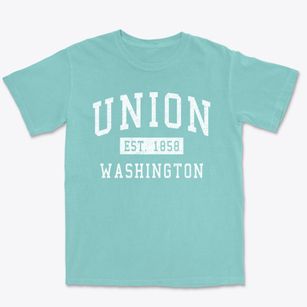 Union Washington Classic Established Premium Heavyweight T-shirt
